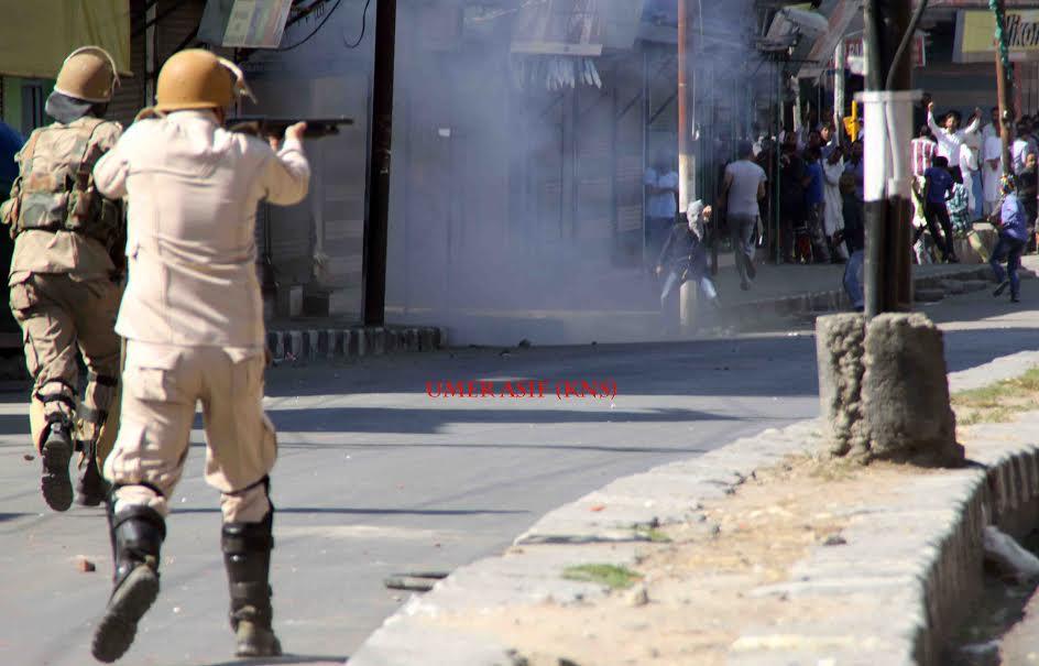 Beef ban triggers protests in Handwara